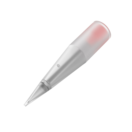 Goldeneye Classic Nadelmodule #1 (Nadel #1) - 10 St.