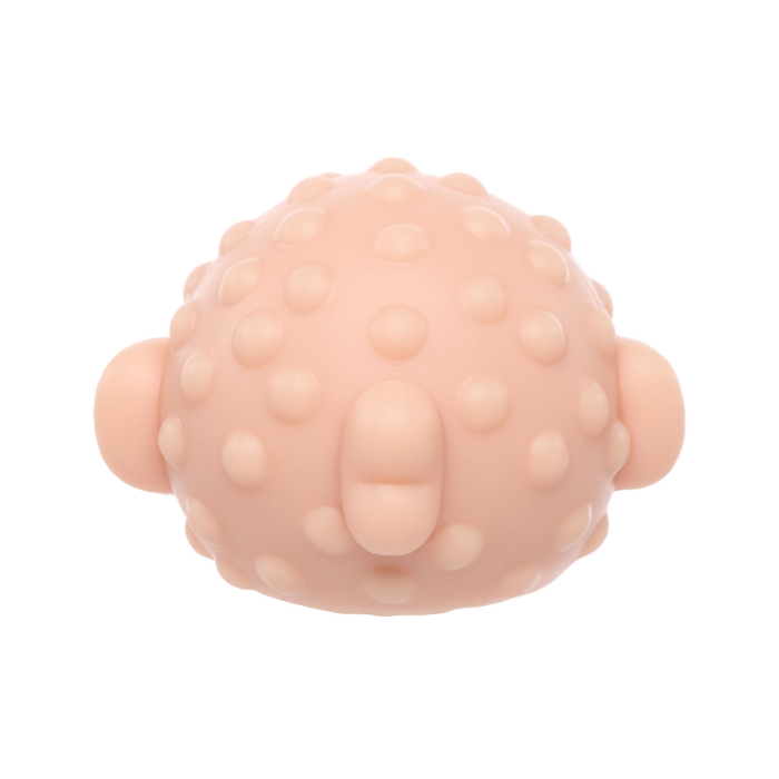 A Pound of Flesh Mini Ocean Animal - The Blow Fish