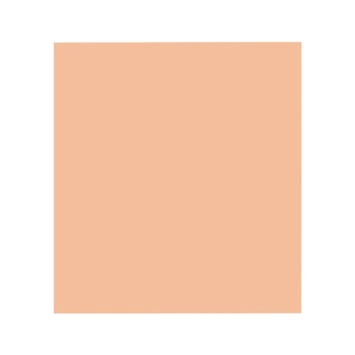 A Pound of Flesh Riesige tätowierbare synthetische Leinwand - 3 mm dick (6,6 ' x 5,9 ') - Fitzpatrick-Ton 2