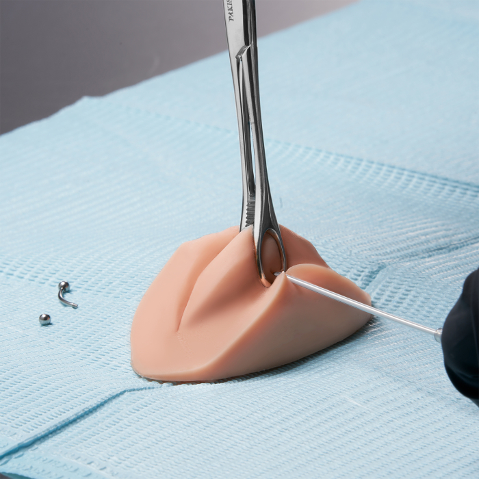 A Pound of Flesh PMU-Übungslippen und Piercing-Körperteil