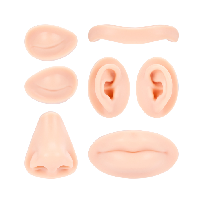 A Pound of Flesh - Austauschbare Teile für Tattoo-, PMU- und Piercing-Kopf - Fitzpatrick-Hauttyp 2