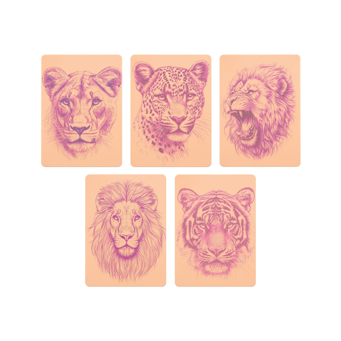 Set mit 5 Stencil Skins® Übungshäuten mit vorgedruckten Designs - Original