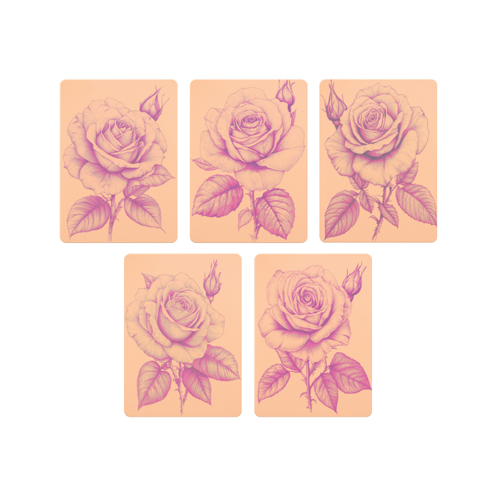 Set mit 5 Stencil Skins® Übungshäuten mit vorgedruckten Designs - Original